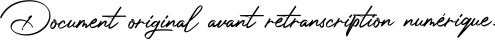 Document original avant retranscription numérique.